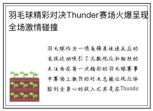 羽毛球精彩对决Thunder赛场火爆呈现全场激情碰撞