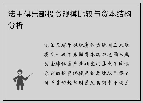 法甲俱乐部投资规模比较与资本结构分析